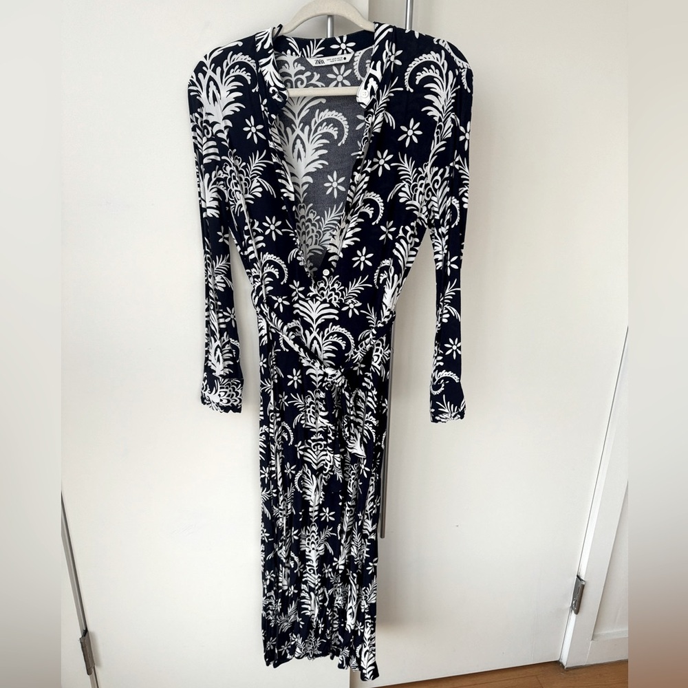 Zara blue & white button down maxi dress